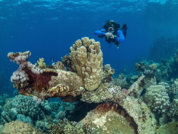 Chinese wreck on the Fury shoals. by Brenda De Vries 